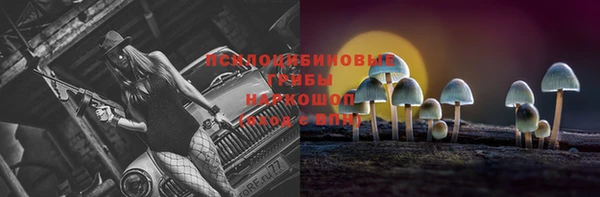 кристаллы Богородицк