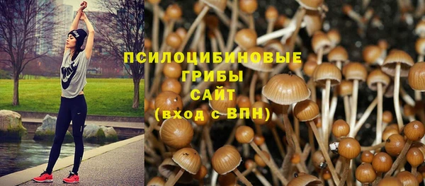 кристаллы Богородицк