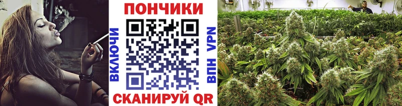 Купить закладки  Апатиты  Каннабис гибрид 
